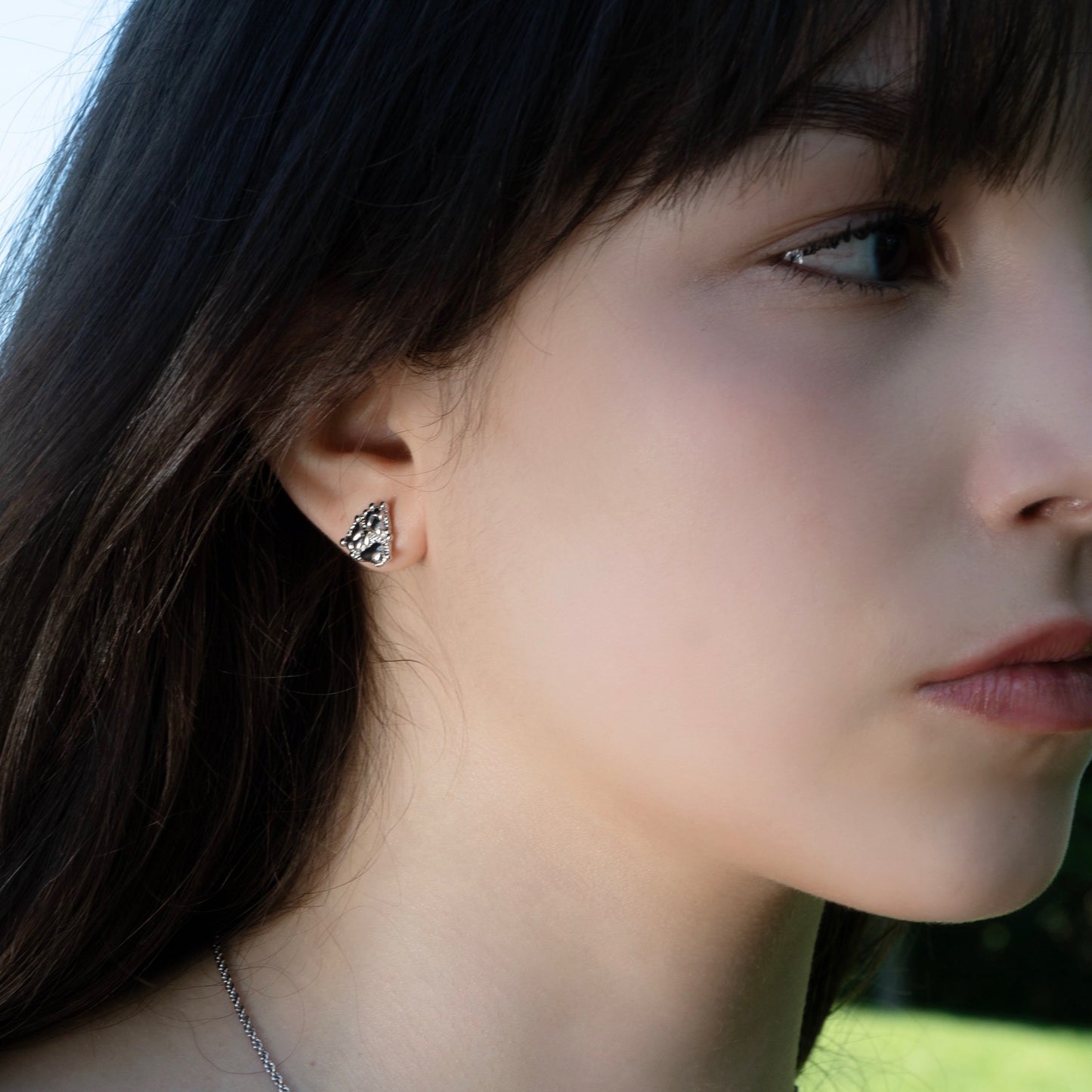 Panoramic View of the Mountains Earrings